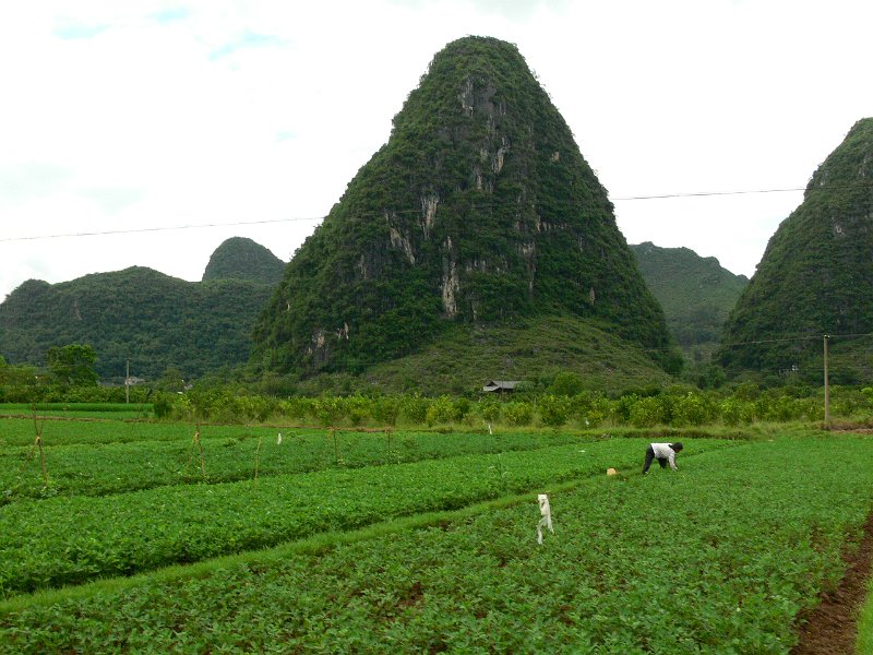 Yangshou (029).jpg
